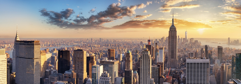Rosemont Pharmaceuticals - New York Skyline