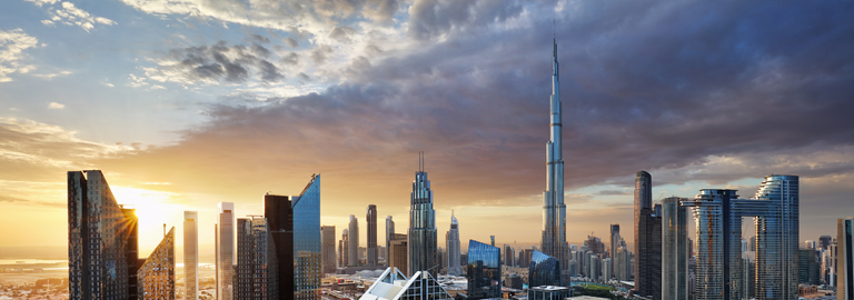Rosemont Pharmaceuticals - Dubai Skyline