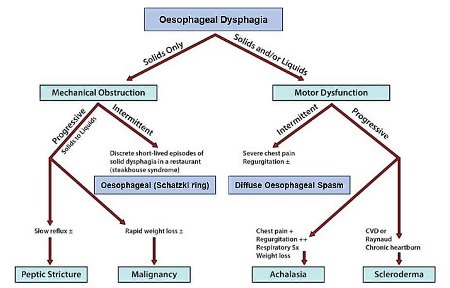 Clinical evaluation of esophageal dysphagia in the elderly diagram